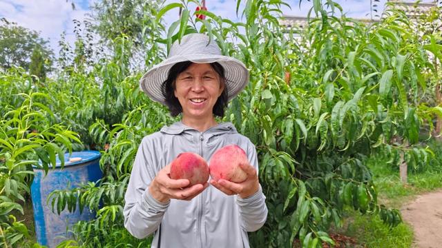 “桃”醉计划！周末不妨来这里“桃”个开心！