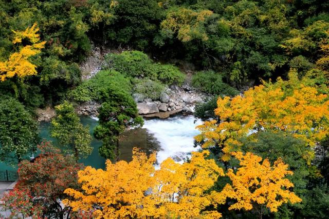 开通两周年！这趟民族风动车别错过！