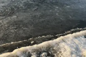夕阳映初冰！松花江城区段岸畔已结冰图片