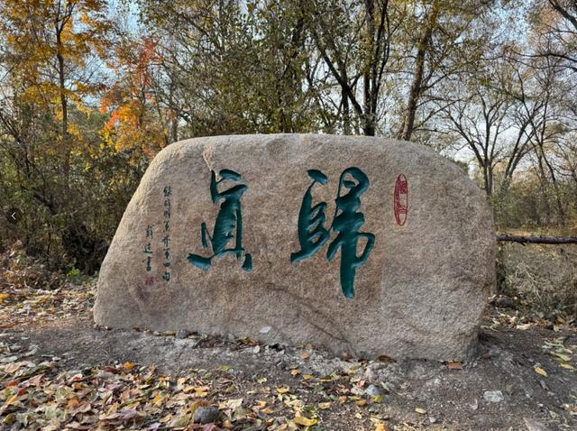 南湖公园上新了！开放时间→