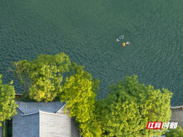我住湘江边③丨绿净不可唾，山明水秀是衡阳
