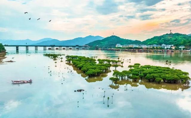 宁上高速全线通车！游玩攻略，带你通向超乎想象的滨海秘境→