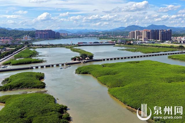 生态湿地 景美如画