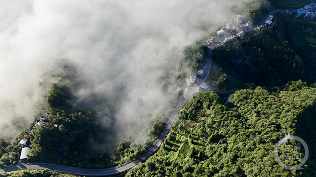 酉阳云海漫山峦 山间村落现绝美“空中秘境”