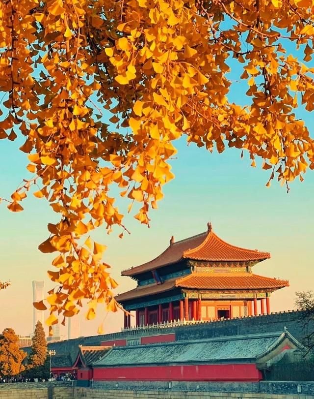 明天休息！北京赏秋攻略这不就来了→