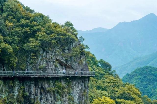 离开浪浪山，在衢江山水间找到自己的“真经”~
