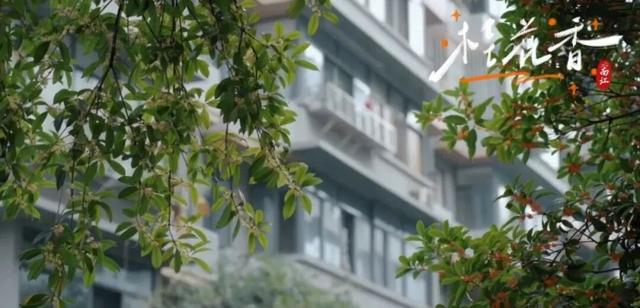 据说来四川“赴桂”，保整年“富贵”