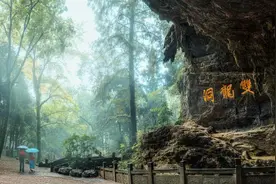 特别策划｜从古老走向年轻，一座山的转型蝶变图片