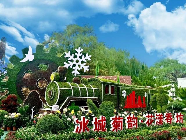 官宣！龙亭菊展延期！