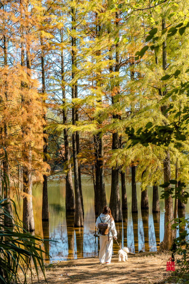 抓住晴天尾巴，徒步青龙山！