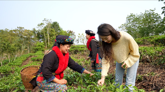 旅居云南丨生活在磨憨：体验雨林徒步、特色美食和绚烂民族文化