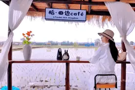 沈阳稻梦空间5月28日开园！免费入园攻略来了图片