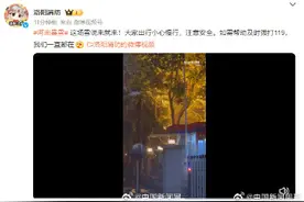 河南多地开始下雪图片