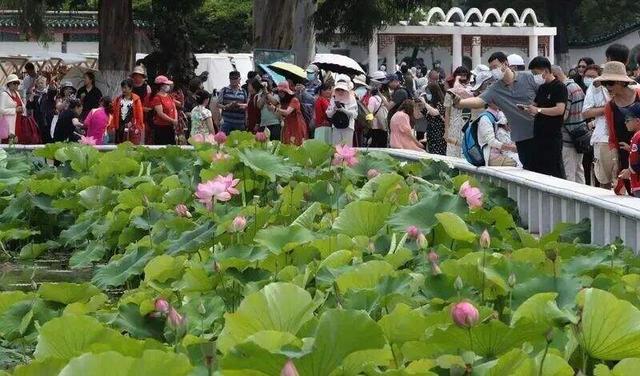 真的有！100000000人来昆明玩！ 昆明等你来避暑~