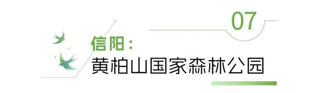河南“天然空调房”地图上线！快来场“森呼吸”
