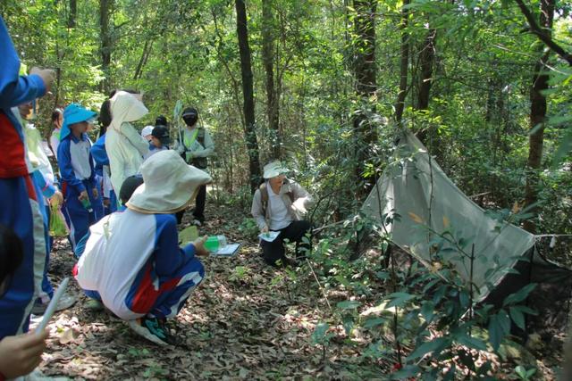 穿越400年原始森林，化身小小科学家！鼎湖山研学营火热报名中！