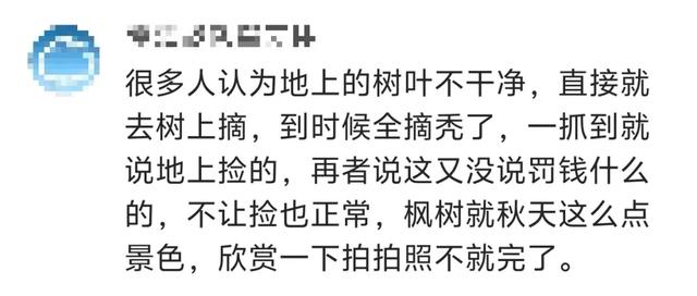 景区禁止游客捡枫叶是小题大做吗