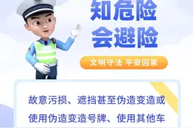 新能源车咋挂着蓝色号牌？有事儿图片