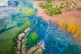 世界自然遗产+2，包括上海崇明东滩图片