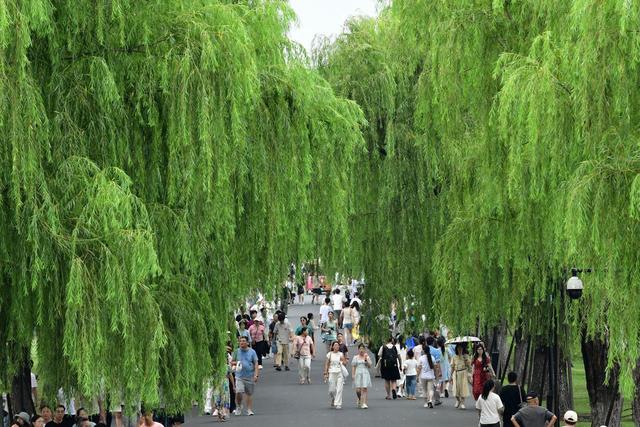 浙江高温范围还将扩大