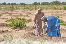 推动科研国际合作 携手应对全球挑战图片