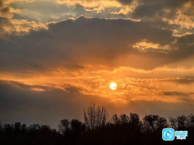 朝看芦苇夕望鸟，潍坊这里的冬日氛围感拉满！