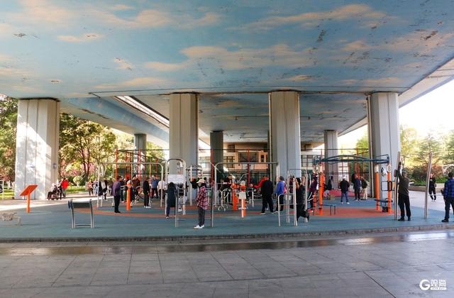 秋日海泊河公园：不必远寻，这里就有“推窗见绿、出门入园”休闲生活