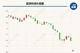 触控显示业务需求下滑  蓝黛科技预计2023年亏损超3亿元图片