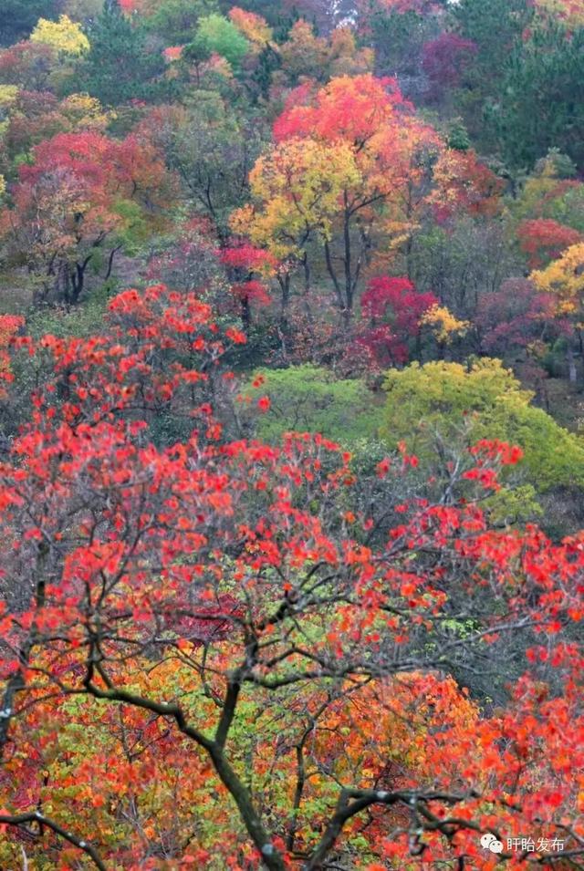 在淮安，寻找属于秋天的浪漫