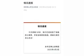 河北一动物园两岁黑熊出逃，最新通报图片