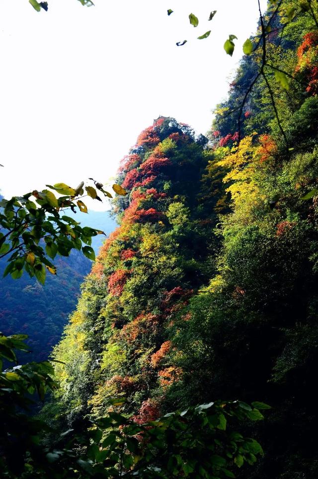 2025保康秋游季，邀您共赏山色如画