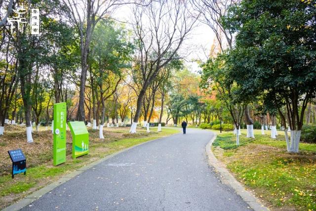 秦淮citywalk｜七桥瓮湿地公园