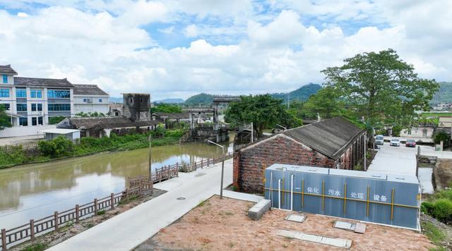 小斗湖鳘鱼胶效果 2026年斗湖鱼胶的功效与作用