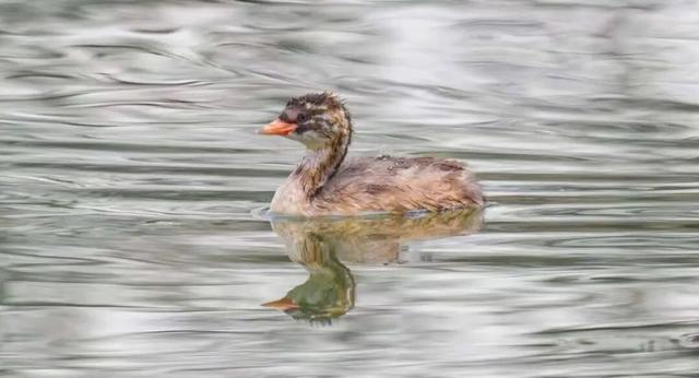 无锡最新追“星”指南，速收藏！