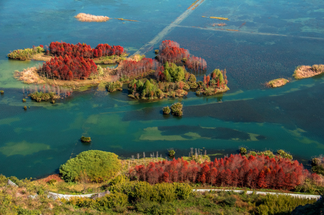 云新闻关注丨诗意旅居，云岭初冬氛围感超绝！