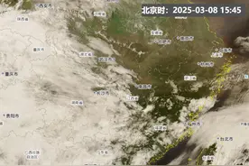 未来10天7天都下雨？南方人：下吧下吧，我快进化出鳃了图片