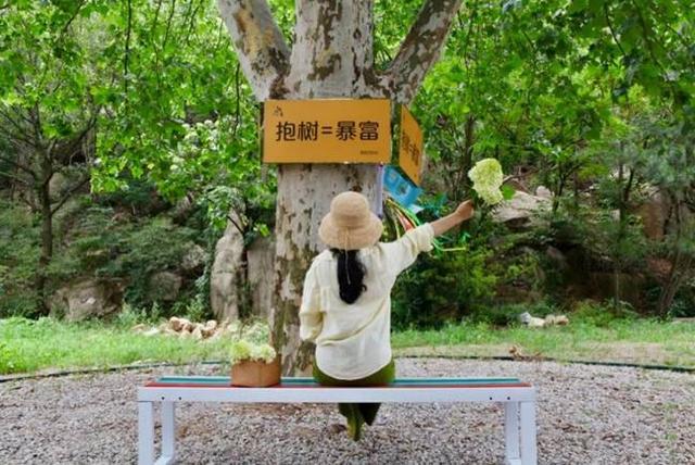 空间再造、文化感知、社群共创，山东文旅各景区如何将场景玩出花儿？