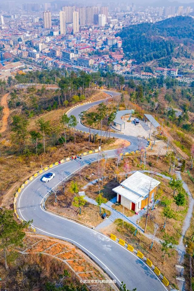 抢先看！武汉最神秘的塔，定期开放！