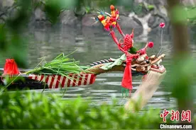 广东佛山举行“盐步老龙”采青仪式图片