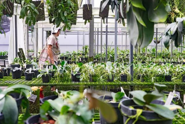 他初中毕业后终身不婚	，荒野舍命工作20年，被一群博士封神