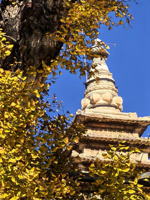 万里无云，阳光正好！周末到公园欣赏北京的秋