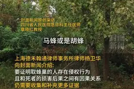 八旬夫妇被人头蜂蜇伤去世 ，取蜂巢者是否担责？被马蜂蛰伤后应如何处理？图片