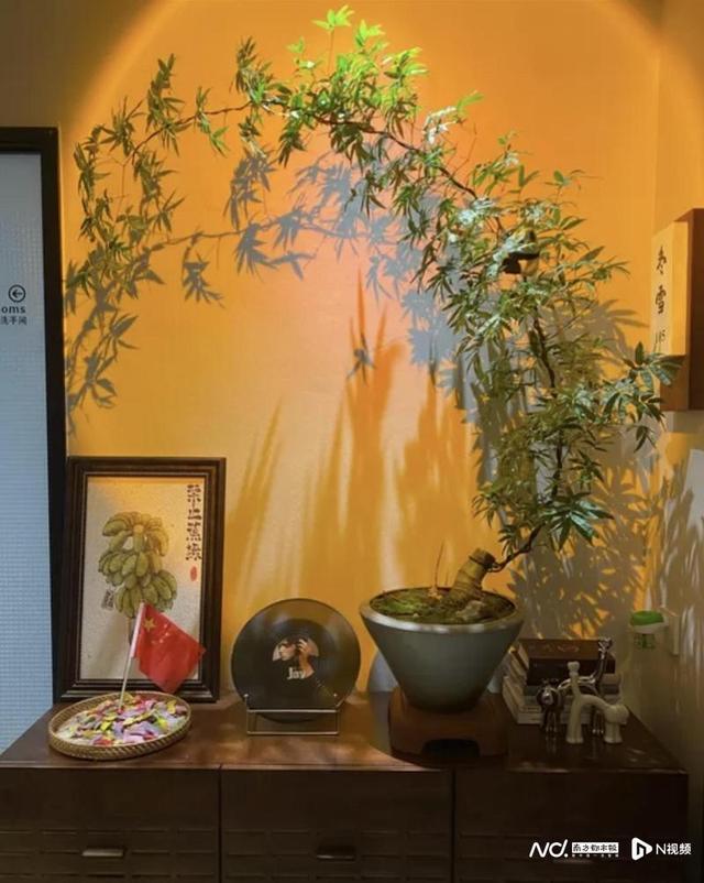 年轻人最爱订民宿跨年？“00后”占元旦民宿预订52%