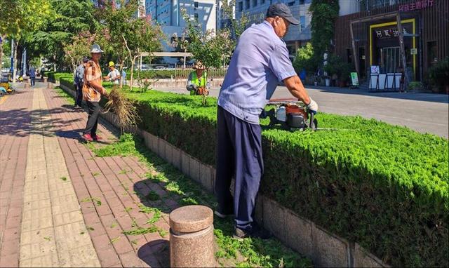 泰安：靓丽装扮迎盛会 芬芳景致待宾客