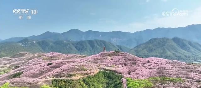 春日美景醉游人 与“花花世界”来一场浪漫邂逅