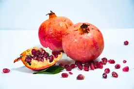 天然“养肝王”找到了，不是枸杞而是它！还能润肺健脾胃，一吃补一秋图片