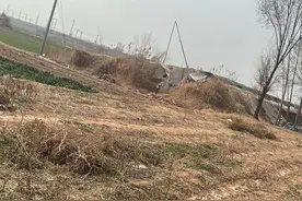 “邯郸初中生被杀案”或成刑责年龄下调后追诉首案，专家称低龄犯重罪可借鉴“保安处分”制度图片