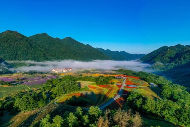 跟着灵兮共赴红池坝的夏日绮梦之旅！