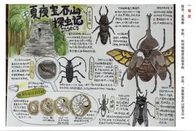 “小朋友们也太卷啦！”第七届浙江省中小学生自然笔记大赛圆满收官图片