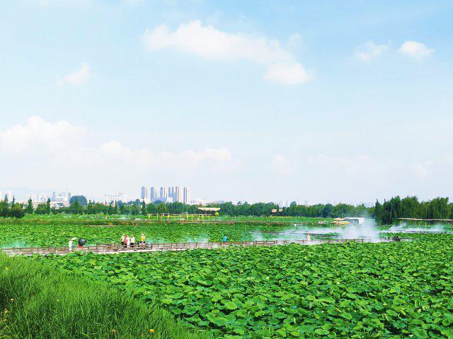 【云新发布】曲靖诚邀四海宾朋赴珠江源头乐享19.7℃的夏天